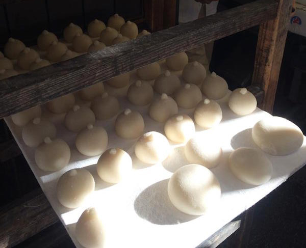 おかがみさんと、京都のお正月